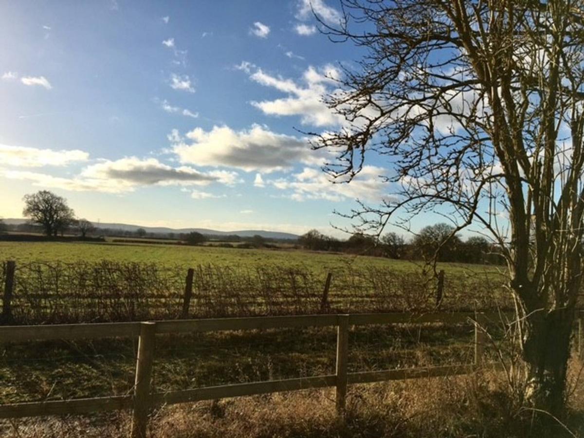 South Cottage - Rural Gem In The Heart Of The Sussex Countryside Twineham ภายนอก รูปภาพ