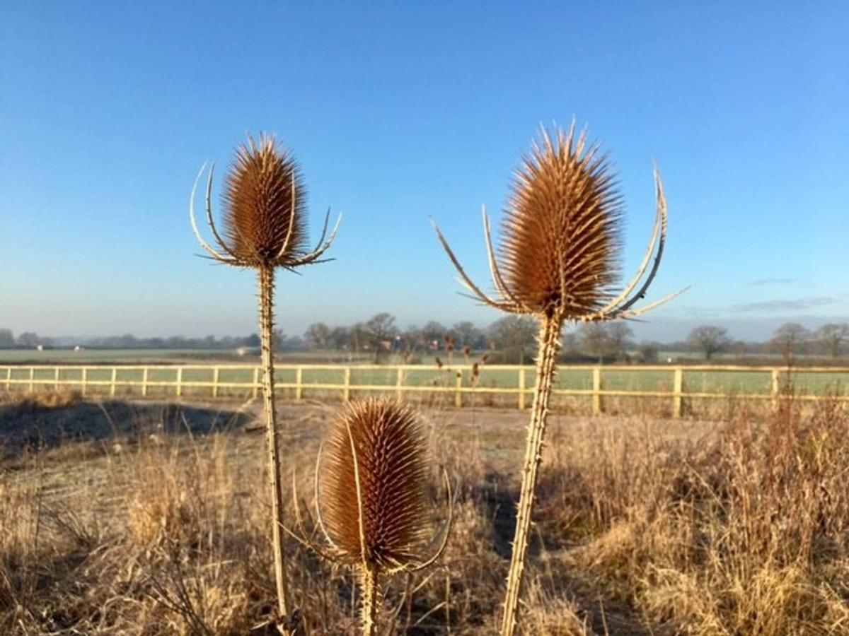 South Cottage - Rural Gem In The Heart Of The Sussex Countryside Twineham ภายนอก รูปภาพ