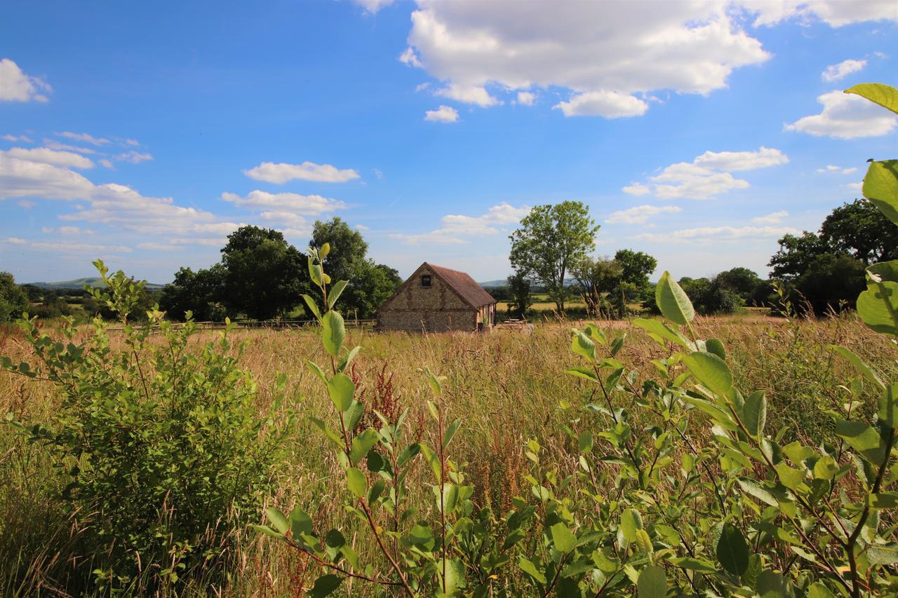South Cottage - Rural Gem In The Heart Of The Sussex Countryside Twineham ภายนอก รูปภาพ