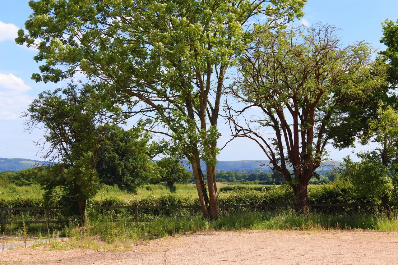 South Cottage - Rural Gem In The Heart Of The Sussex Countryside Twineham ภายนอก รูปภาพ